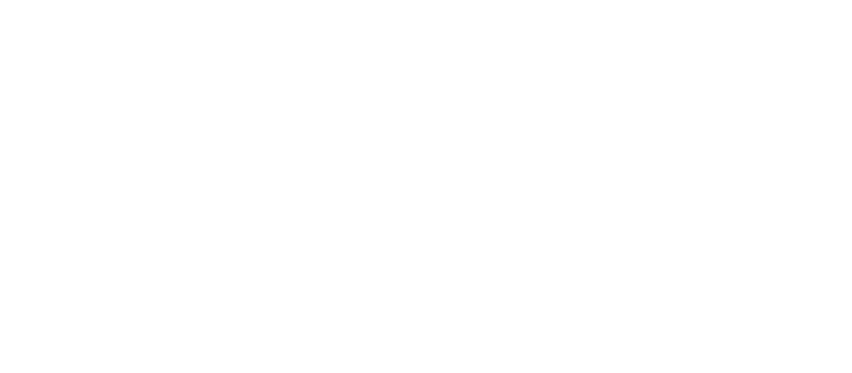 Platinum Steam