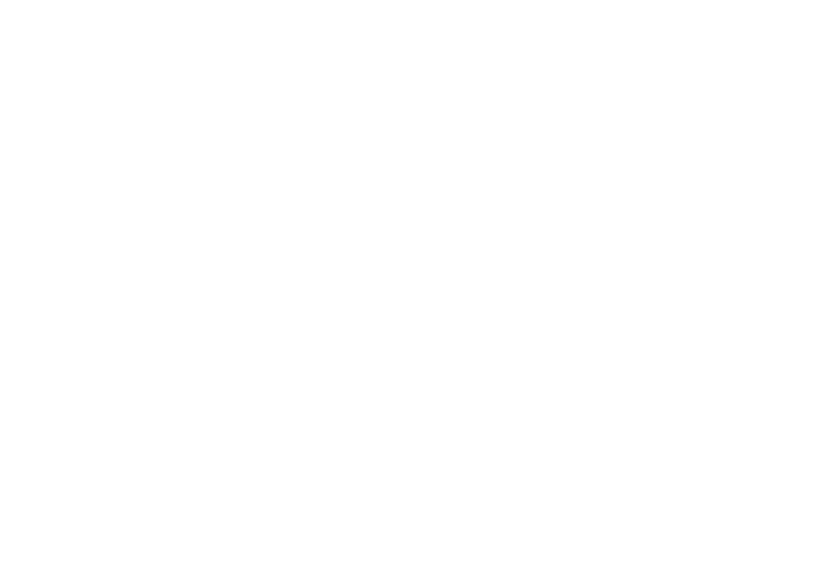 Shine Mate